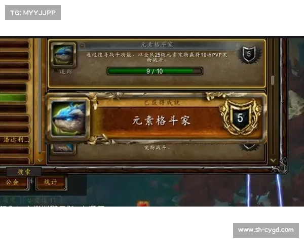 魔兽世界正服：带你飞升级